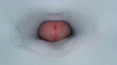 Watch jeffrodgerschaturbat recorded live streams from Chaturbate on 2024/01/24, Cam Archive