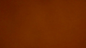 Watch sofyfoxoxy recorded live streams from Chaturbate on 2024/05/05, Cam Archive