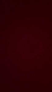 Watch Sarabocci recorded live streams from CAM4 on 2024/04/12, Cam Archive
