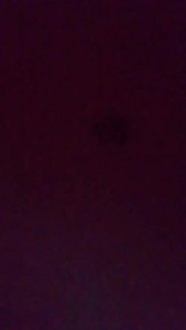 Watch mili_4 recorded live streams from CAM4 on 2024/04/11, Cam Archive