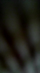 Watch spundarella420 recorded live streams from Stripchat on 2024/04/25, Cam Archive