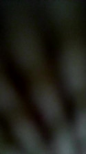 Watch spundarella420 recorded live streams from Stripchat on 2024/04/25, Cam Archive