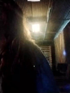 Watch allison-dreams recorded live streams from Stripchat on 2024/04/12, Cam Archive