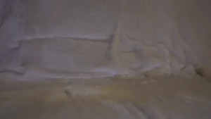 Watch hikinks recorded live streams from Chaturbate on 2024/08/10, Cam Archive