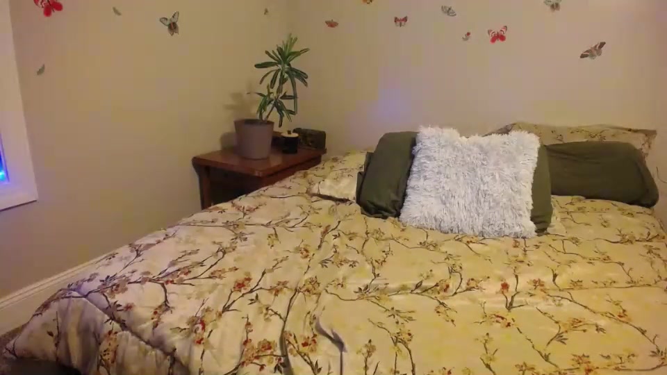 Watch hollydiamond_ recorded live streams from Chaturbate on 2023/09/30, Cam Archive