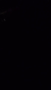 Watch Malenaivsm recorded live streams from CAM4 on 2024/10/02, Cam Archive