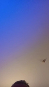 Watch Terremoto71 recorded live streams from CAM4 on 2024/11/09, Cam Archive