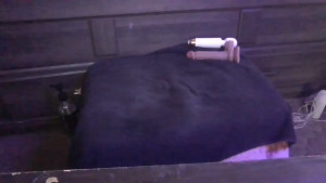 Watch megannicolex0 recorded live streams from Chaturbate on 2024/12/04, Cam Archive