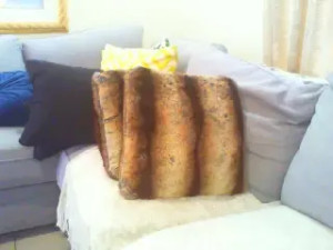 Watch cocosugar recorded live streams from Stripchat on 2025/01/23, Cam Archive