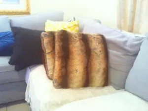 Watch cocosugar recorded live streams from Stripchat on 2025/01/23, Cam Archive