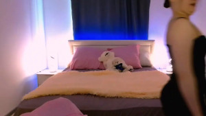 Watch PolleRoses recorded live streams from Stripchat on 2025/02/08, Cam Archive