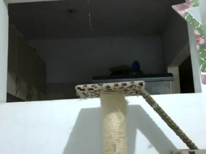 Watch ElizabethMart recorded live streams from BongaCams on 2025/02/13, Cam Archive