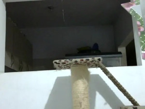 Watch ElizabethMart recorded live streams from BongaCams on 2025/02/13, Cam Archive