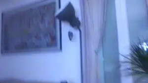 Valealegodiamo