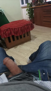 chicco22cm