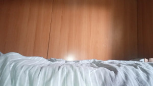 VolpinaBlue