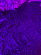 Watch tikitokilove recorded live streams from BongaCams on 2025/03/15, Cam Archive