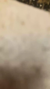 Watch pissriot recorded live streams from CAM4 on 2025/03/16, Cam Archive