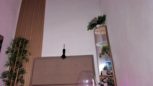 Watch natasha__sccott recorded live streams from Stripchat on 2025/03/16, Cam Archive