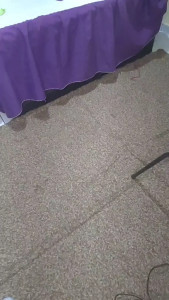 Watch Vanessasalesv recorded live streams from CAM4 on 2025/03/17, Cam Archive