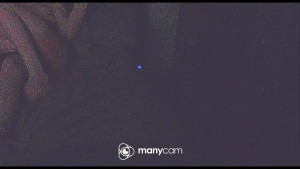 Watch cutemansexy recorded live streams from CAM4 on 2025/03/21, Cam Archive