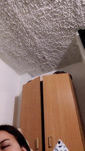 Watch bellajade1985 recorded live streams from CAM4 on 2025/03/22, Cam Archive