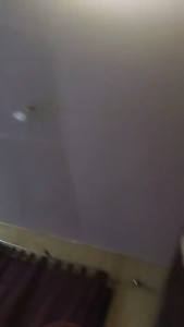 Watch Carolinaalg recorded live streams from CAM4 on 2025/03/22, Cam Archive