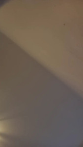 sexploratrice