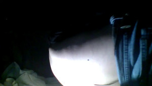 Watch 1269withme recorded live streams from CAM4 on 2025/03/24, Cam Archive