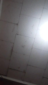 Watch Tuosita20 recorded live streams from CAM4 on 2025/03/25, Cam Archive