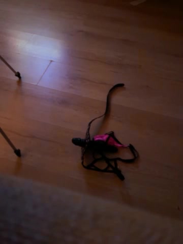 Watch SexyCoupleCam recorded live streams from BongaCams on 2023/10/13, Cam Archive