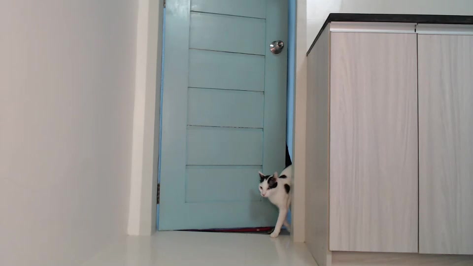 Watch squirtomania recorded live streams from Chaturbate on 2023/09/18, Cam Archive