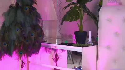 Watch NatyDesiree recorded live streams from BongaCams on 2023/11/10, Cam Archive