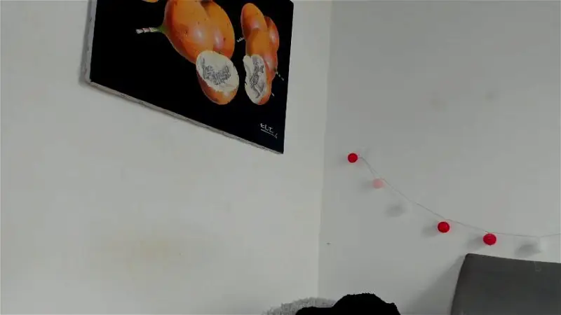 Watch tina14v recorded live streams from Chaturbate on 2023/12/07, Cam Archive