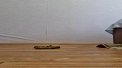 Watch 8SoS8 recorded live streams from BongaCams on 2023/12/18, Cam Archive